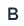 Bold-icon